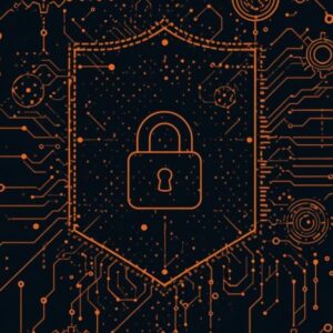 PACK PREMIUM DESARROLLO WEB